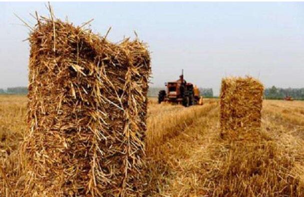 黑龙江克山县多举措力促秸秆变废为宝