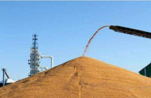 透视粮食生产“十五连丰”