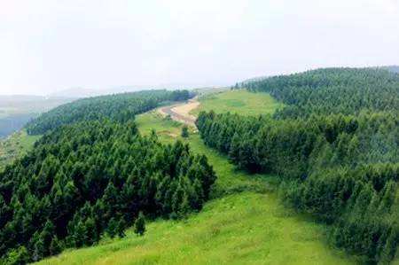 河北张家口林业生态扶贫成效明显