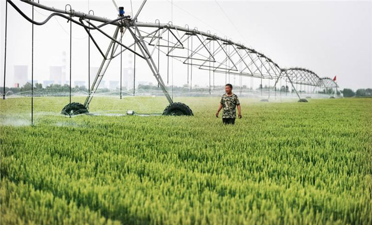 山东国资国企强化科技赋能 推动农业新质生产力发展
