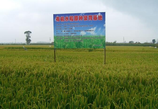 黑龙江哈尔滨绿色有机食品认证面积达1030万亩