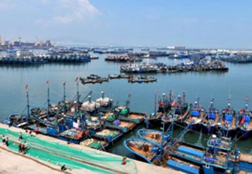 福建下达4.6亿元资金提升渔业现代化水平