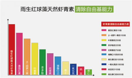 雨生红球藻为何被誉为抗氧化革命性产品的温床