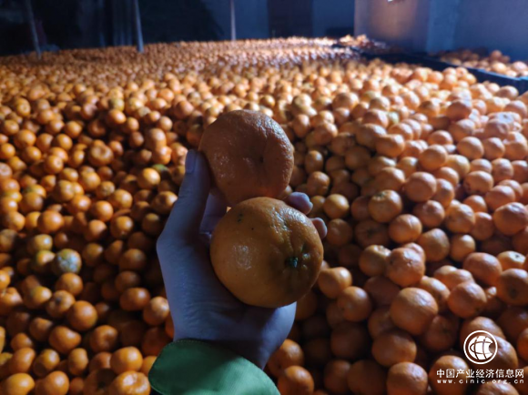 滞销农产品的救赎