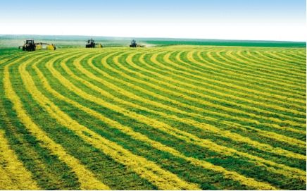 中国人民银行 农业农村部 金融监管总局联合召开金融服务乡村振兴工作推进会议