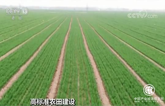 农业农村部：今年至少创建8000万亩高标准农田