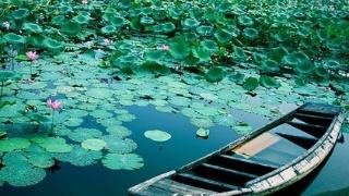 黑龙江：水环境质量呈改善态势