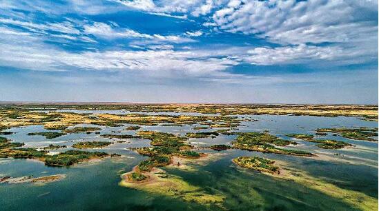 内蒙古“一湖两海”生物多样性持续增加