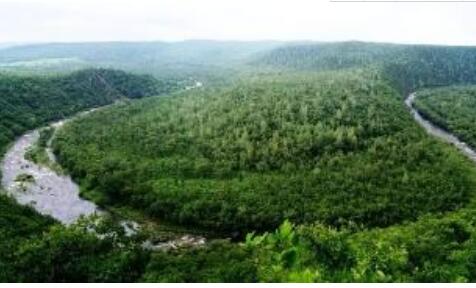 黑龙江实施大规模国土绿化行动