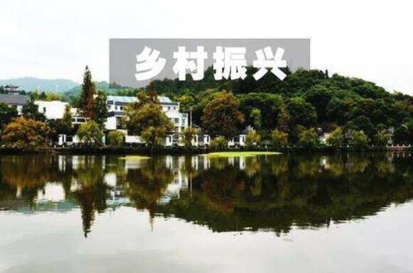 国家乡村振兴局有关负责人谈当前乡村振兴工作三个着力点