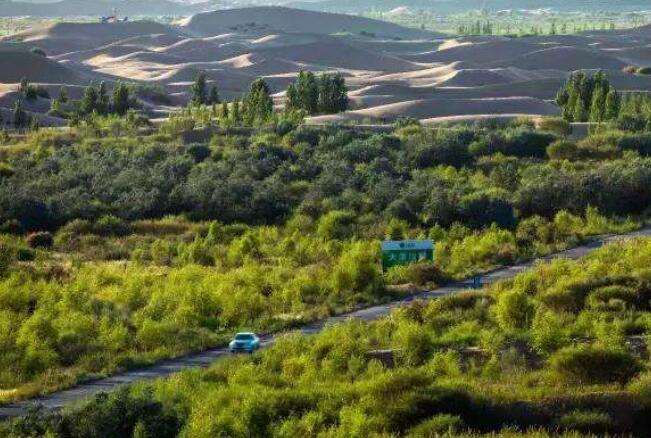 全球新增绿色1/4来自中国——中国增绿 世界赞誉