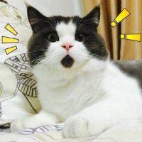 还没买保险的朋友一定要看，不然你就真的彻底输了