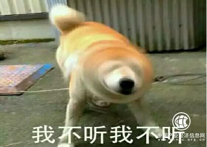 还没买保险的朋友一定要看,不然你就真的彻底输了