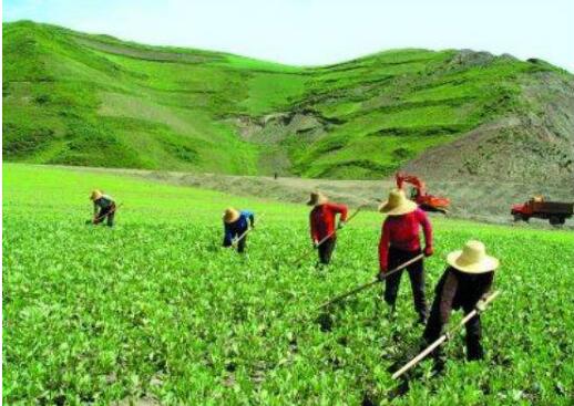 农业农村部：确保小农户不掉队