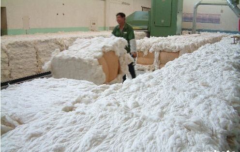 贸易纠纷无碍中国市场棉花供应