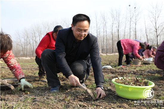 扶贫干部陈新年：助贫困村做强产业