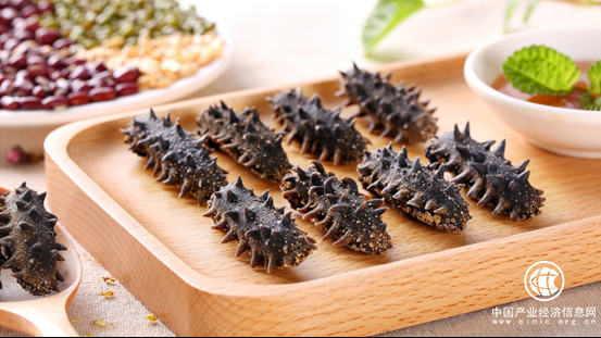 聚焦315海参市场 参德福野生海参受市场青睐