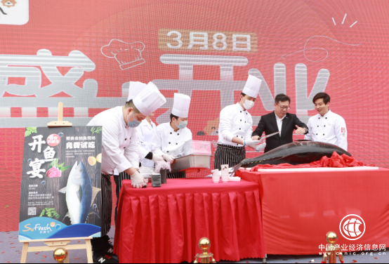 焕新节福利，120斤重黄鳍金枪鱼苏鲜生免费吃