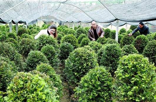 绿色产业六大类范畴敲定 税收等方面政策支持力度将加大