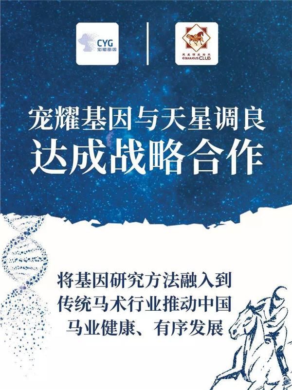 宠耀基因与天星调良国际马术俱乐部正式达成战略合作
