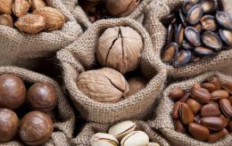 蜕变前行，旭东食品匠心开拓西瓜子2.0时代