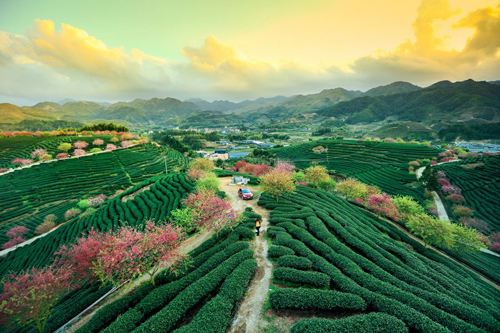 福建省财政持续加大生态环境支持力度