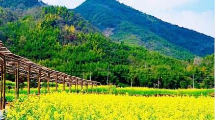 去年福建省生态环境质量继续保持全国前列