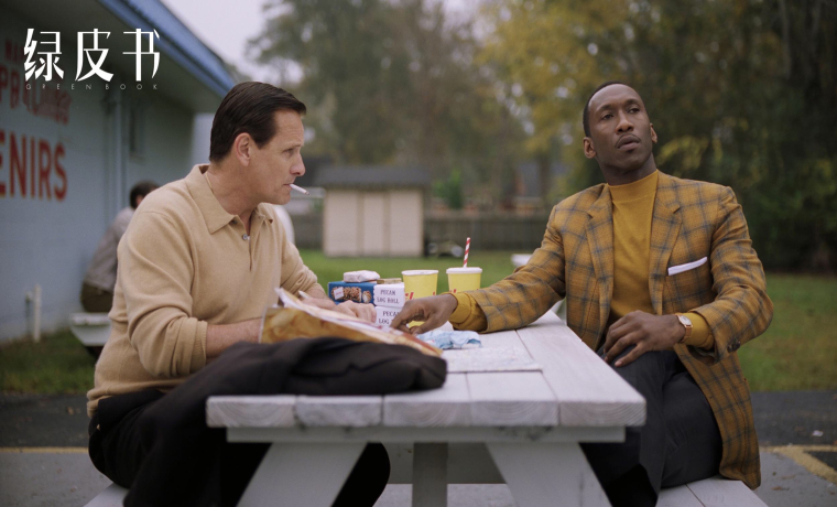 《绿皮书》揭示的那道疤