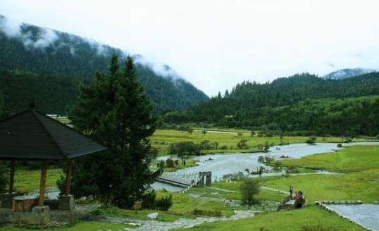 广东发布2023年第2号总林长令 用硬措施保护绿美广东生态建设成果