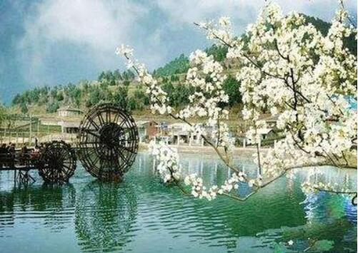 四川广元苍溪县：让旅游业成为乡村振兴的重要支撑