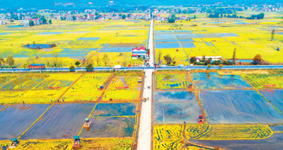 今年拟安排180亿元农机购置补贴