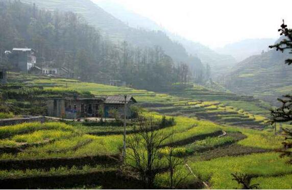 贵州2018年18个贫困县(市、区)实现脱贫摘帽