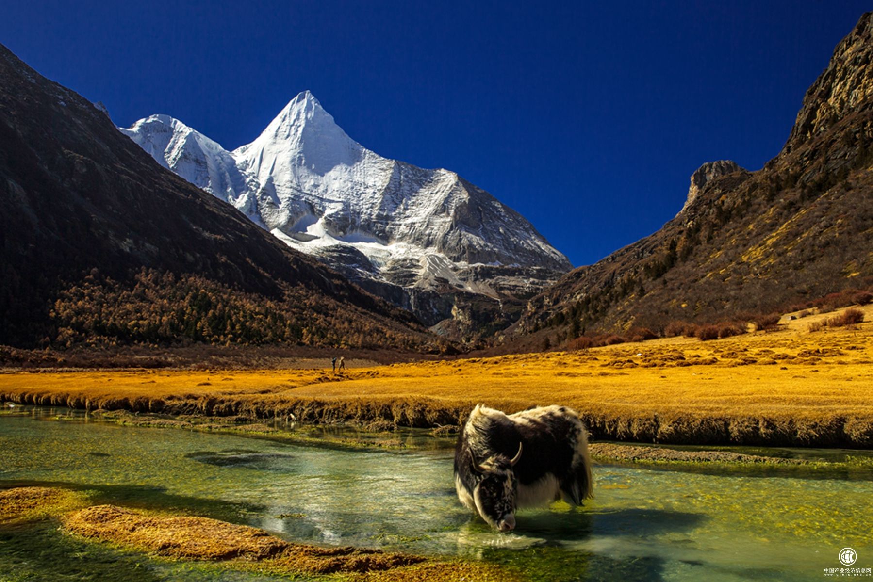 一场说走就走的旅行 从稻城亚丁开始