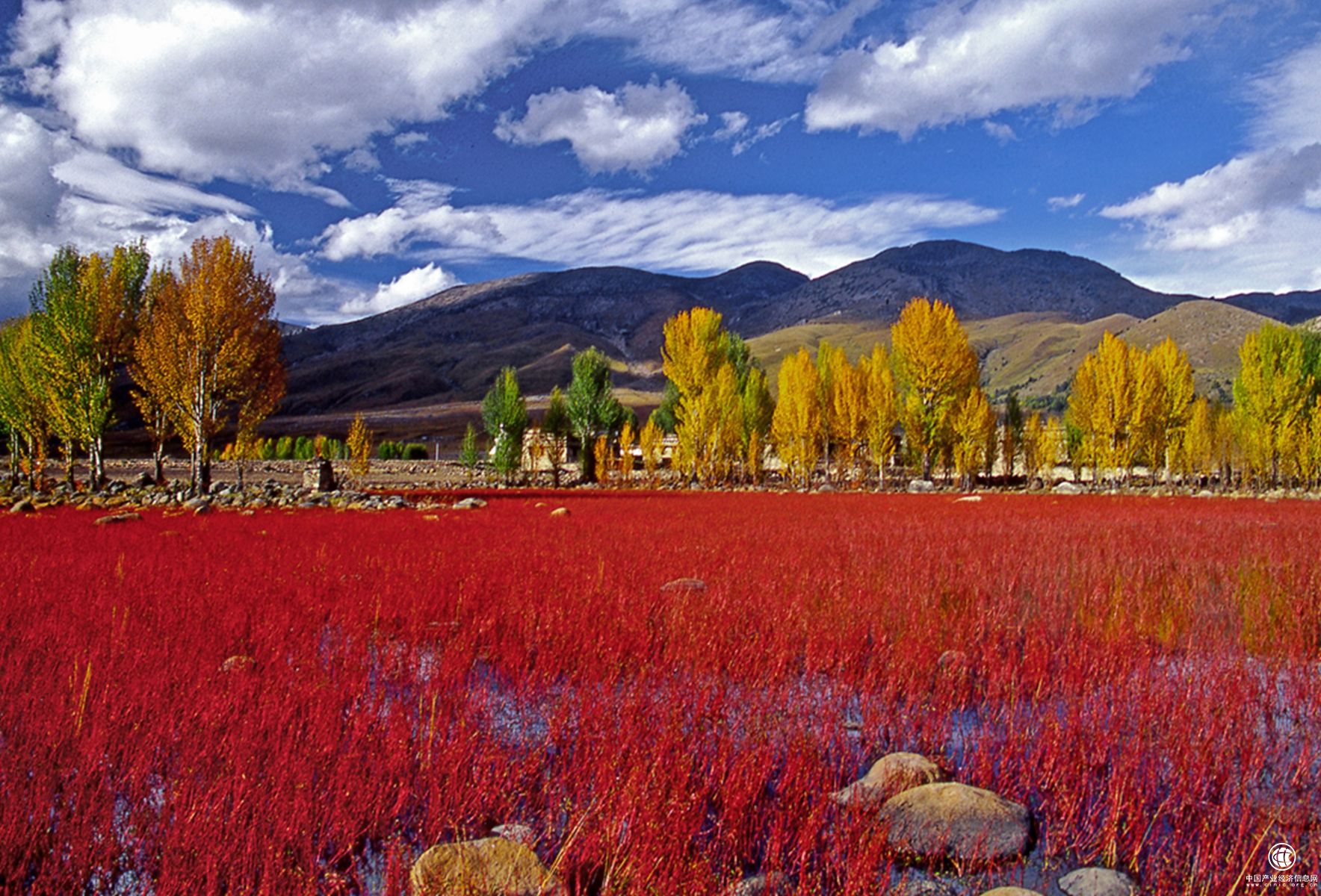 稻城红草地风光张小平摄