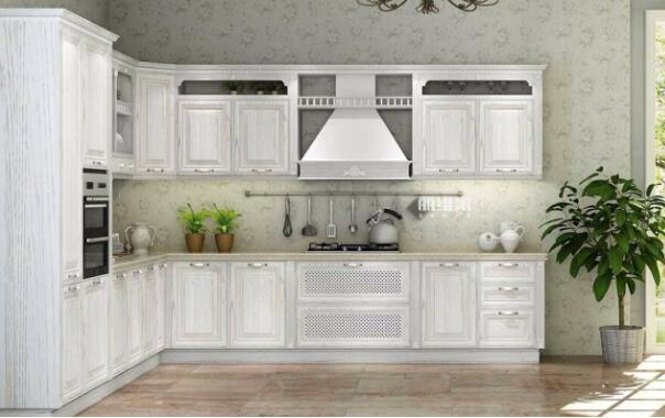 加速提升软硬实力 整体厨房产业谋求高质量发展