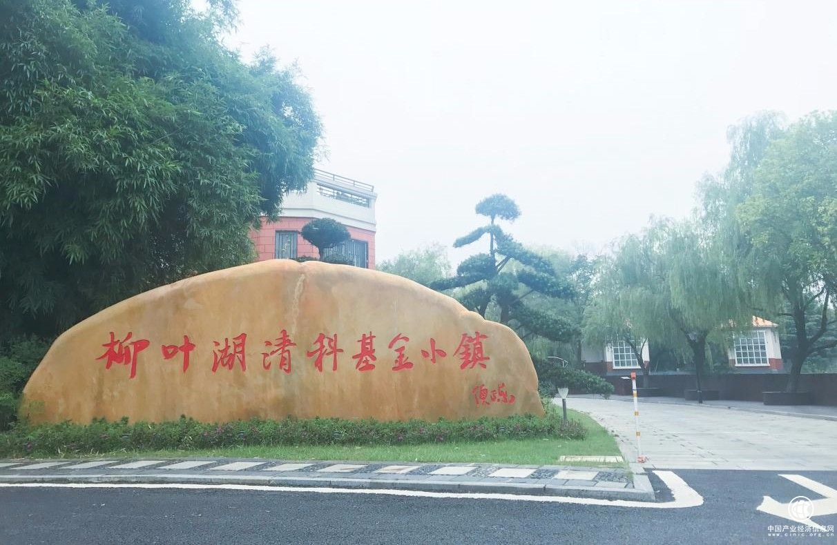 常德柳叶湖清科基金小镇成立一周年，蓄势聚能 高质发展