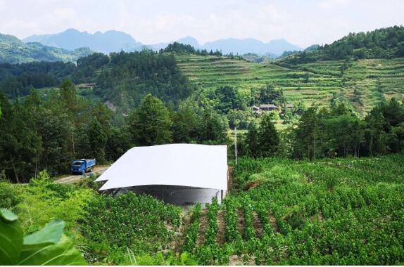 “咬”定深贫劲不松——重庆黔江攻坚深度贫困见闻