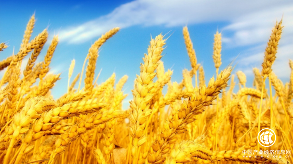 农分期与中国人保携手 在多个省份推进保险服务落地“三农”