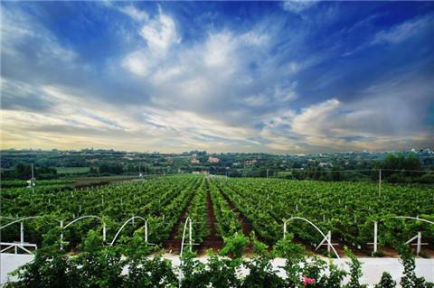 陕西杨凌示范区提质升级引领现代农业发展