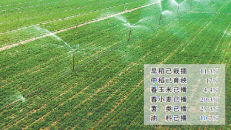 全国已播农作物一点五亿亩
