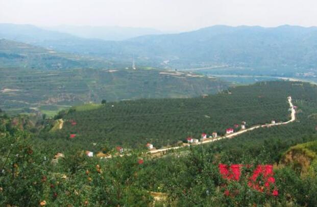 甘肃静宁：“内引外联+龙头覆盖”构建脱贫攻坚新模式