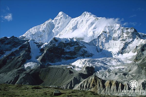 不老女神蒋勤勤的逆龄“肌”密，原生植萃奢思雅沙棘原液水