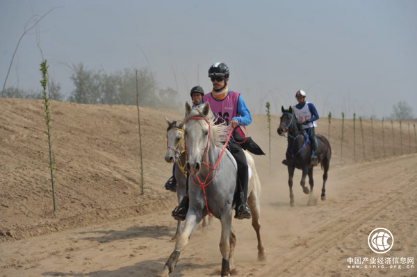第五届中国砀山国际马术耐力赛在黄河故道举行
