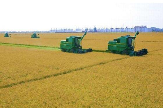 辽宁鞍山八大特色产业撑起现代农业新天地