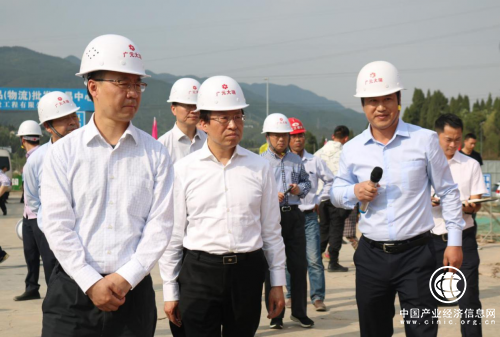 四川省副省长李云泽考察调研广元西部大市场