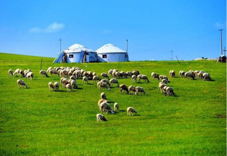 内蒙古呼伦贝尔市实现四季旅游均衡发展