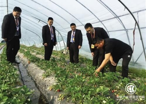 江苏金融国企创新模式“输血”“三农”