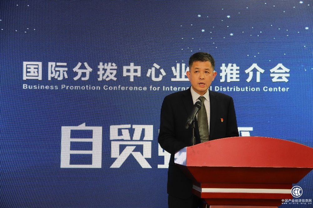 卓志力促南沙发展新举措