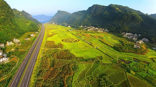 五粮融合开出世界名酒之花 ——从三个维度看浓香酒王五粮液的酿造秘技