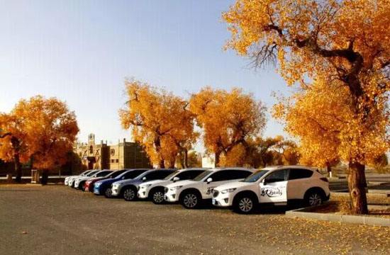 自驾市场潜力大 企业产品更多元